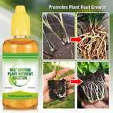 Fast Rooting Plant Nutrient Solution✨Summer Specials 50% OFF✨