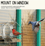 Transparent Window Case Bird Home