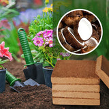 Organic Coconut Coir For Plants