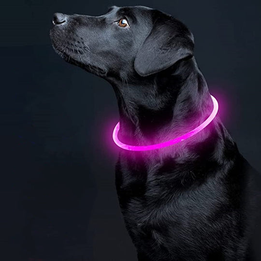 LED LIGHT DOG COLLAR