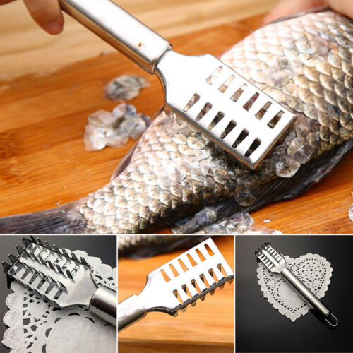 Fish Scale Descaling Knife